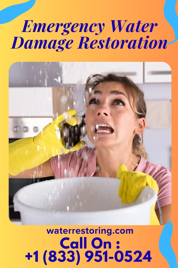Emergency Water Damage Restoration in Cloverly, MD