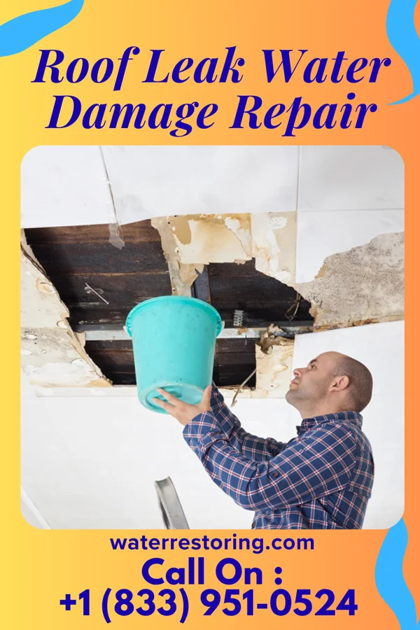 Roof Leak Water Damage Repair in Cloverly, MD