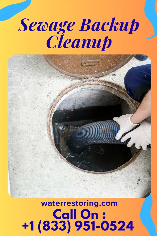Sewage Backup Cleanup in Cloverly, MD