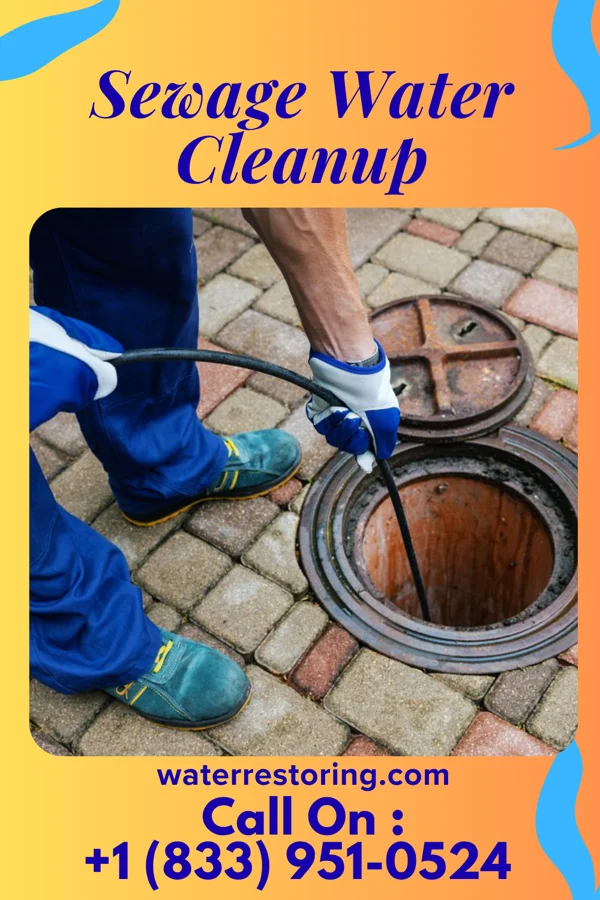Sewage Water Cleanup in Cloverly, MD